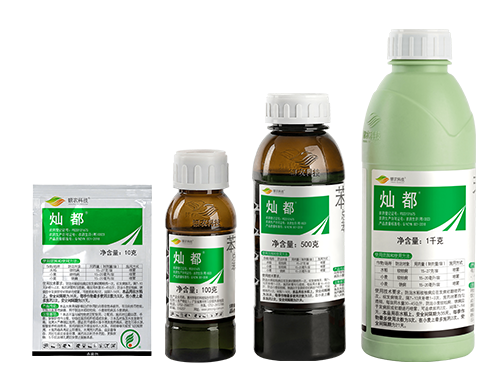 灿都®