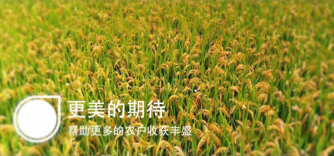 银农科技|五一宣传片《时间的给予》正式发布