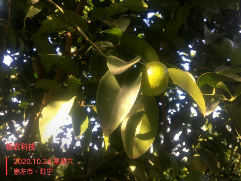 20201028071038_64868.jpg